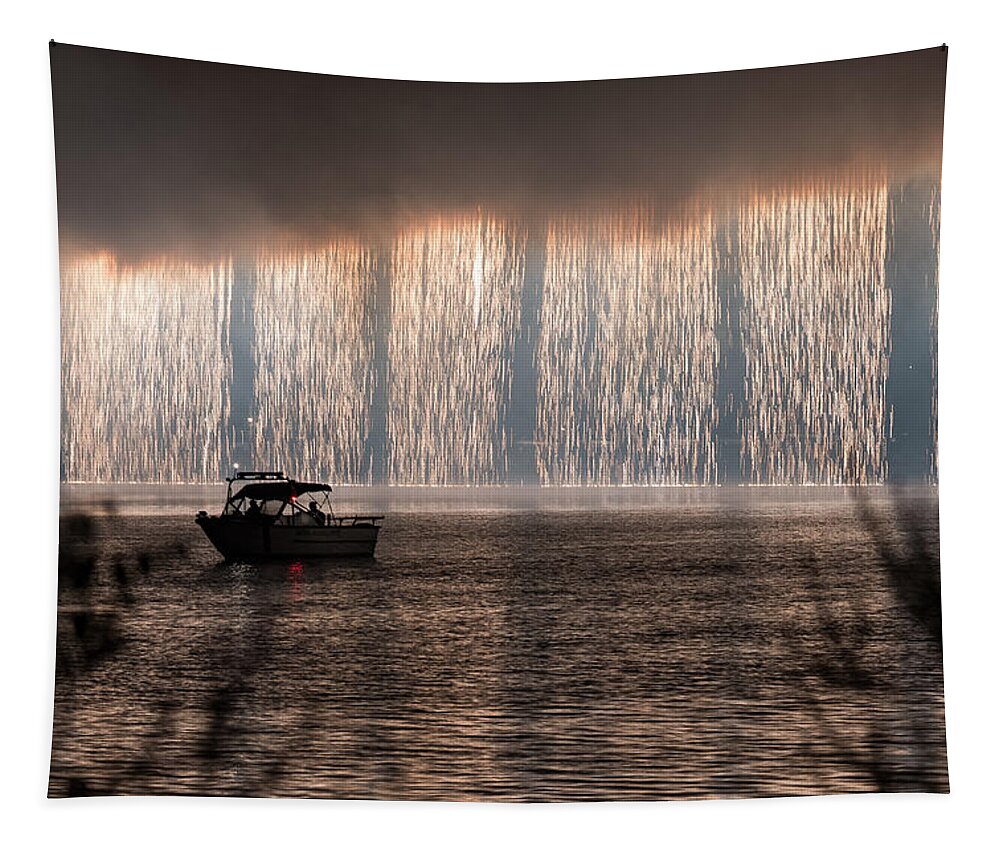 Fireworks Tapestry featuring the photograph Shower of Fireworks by Holden The Moment