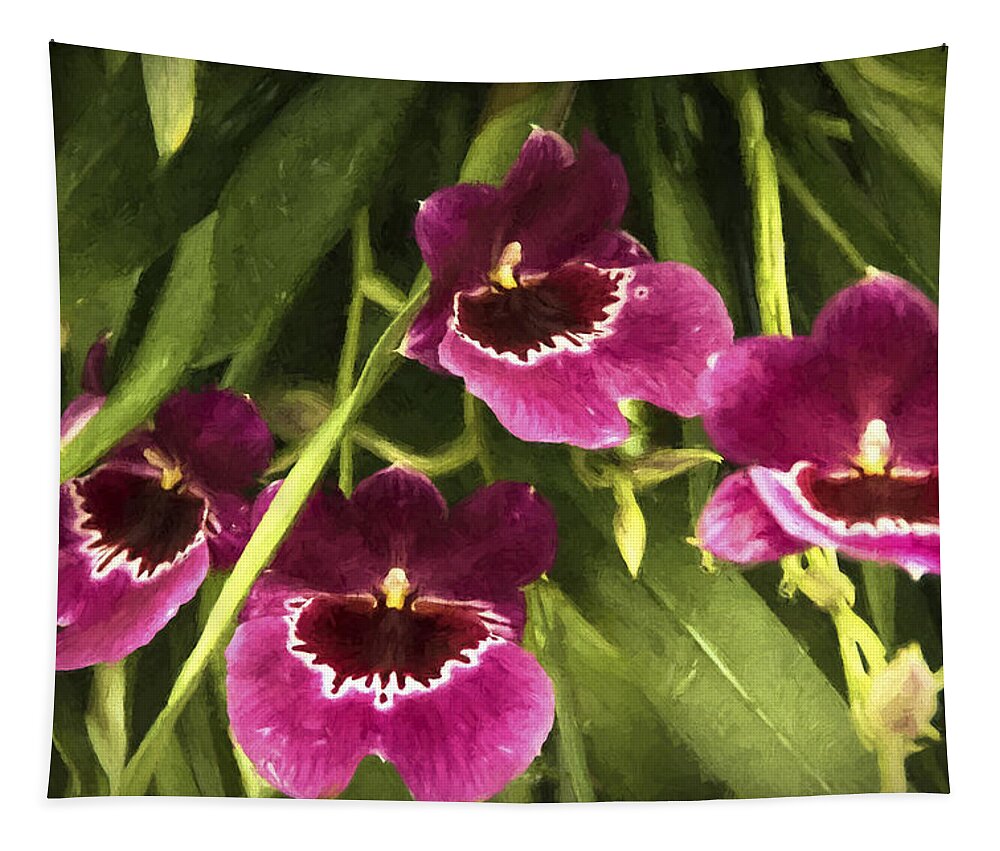 Flowers Tapestry featuring the photograph Shy, Confident, Tentative and Awkward Orchids by Penny Lisowski