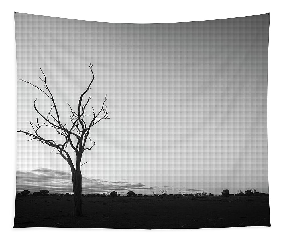 Tree Tapestry featuring the photograph Silhouette of a Bare Tree by Catherine Reading