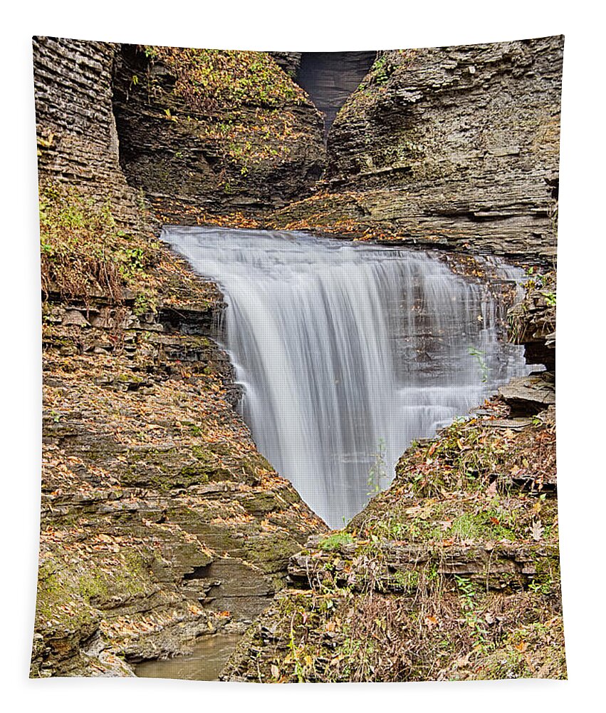 Waterfall Tapestry featuring the photograph Silky Smooth by Rick Kuperberg Sr