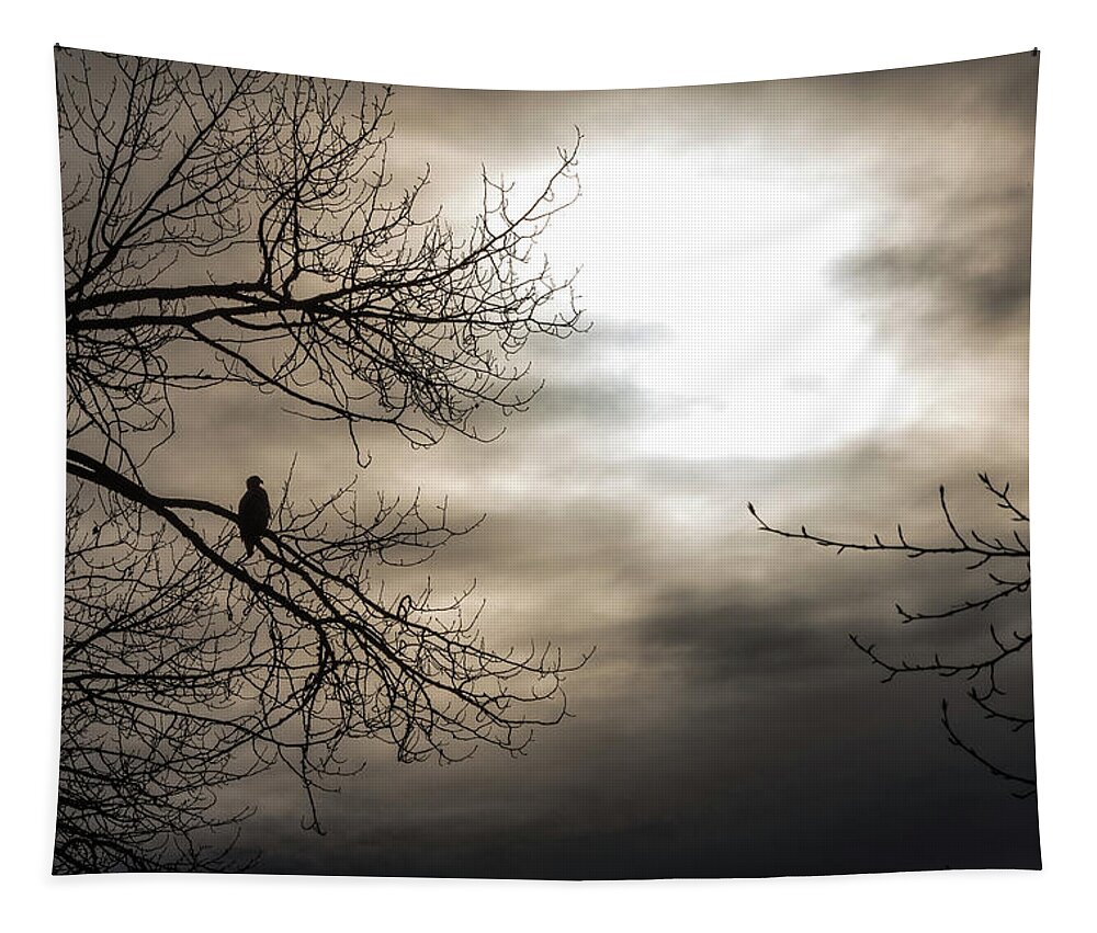 Bald Eagle Tapestry featuring the photograph Sillouette by David Kirby