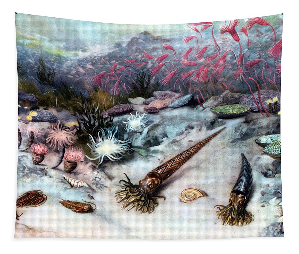 Prehistory Tapestry featuring the photograph Silurian Seascape by Science Source