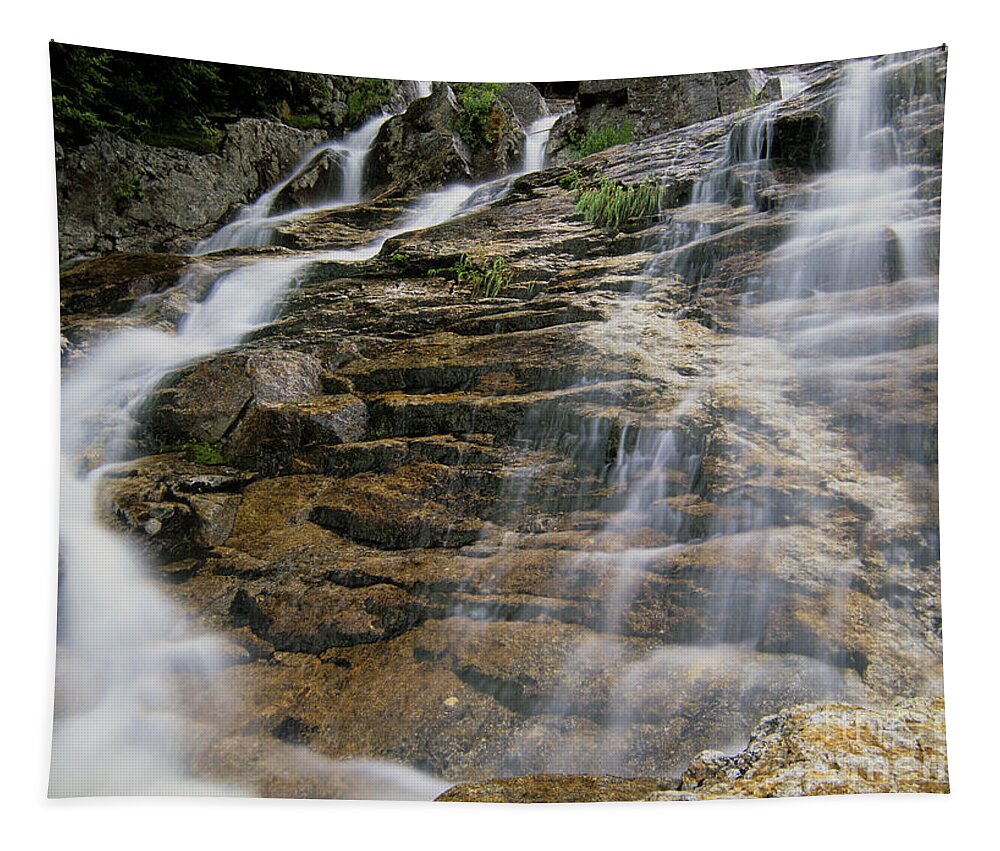 Tourism Tapestry featuring the photograph Silver Cascades - Crawford Notch New Hampshire by Erin Paul Donovan