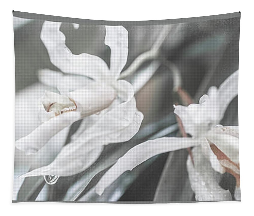 Jenny Rainbow Fine Art Photography Tapestry featuring the photograph Silver Melody. Triptych by Jenny Rainbow