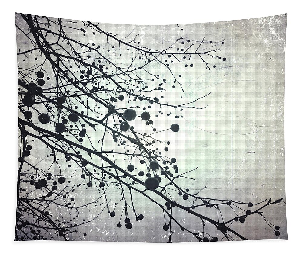 Silver Tapestry featuring the photograph Silver Sky by Onedayoneimage Photography