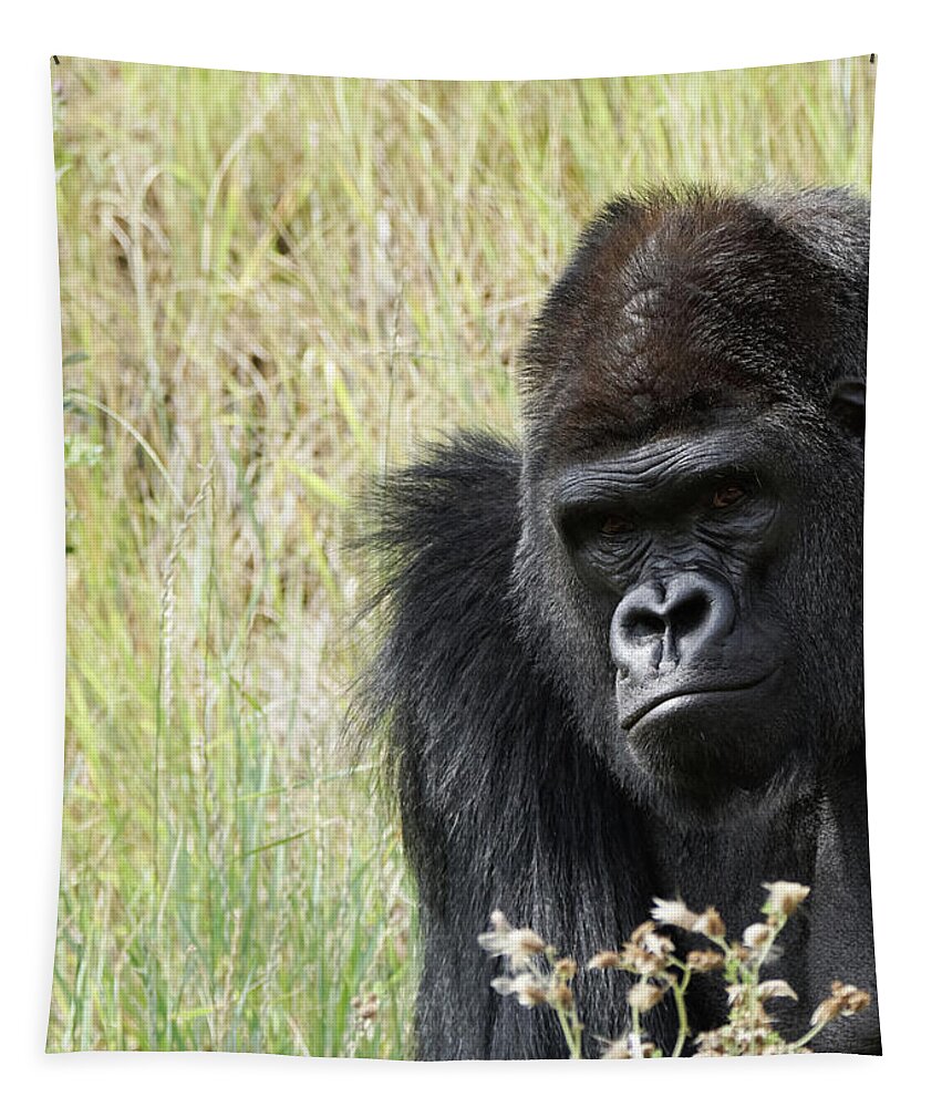 Animals Tapestry featuring the photograph Silverback Gorilla 9 by Ernest Echols