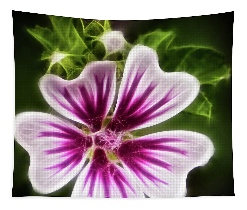 Flower Photographs Tapestry featuring the photograph Simple Beauty by Joann Copeland-Paul
