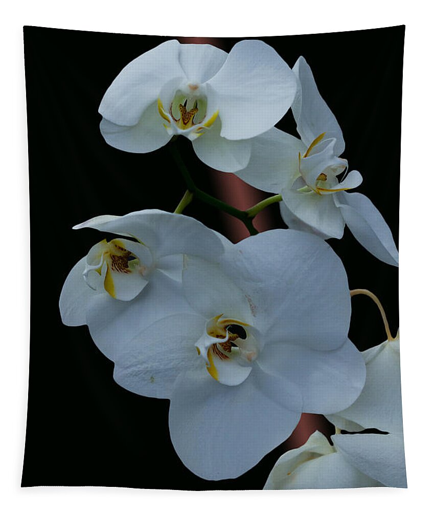 #orchids Tapestry featuring the photograph Simple Elegance by Ramabhadran Thirupattur