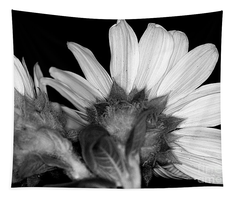 Sunflower Tapestry featuring the mixed media Simple is Black and White Seeing the other Side by Sherry Hallemeier