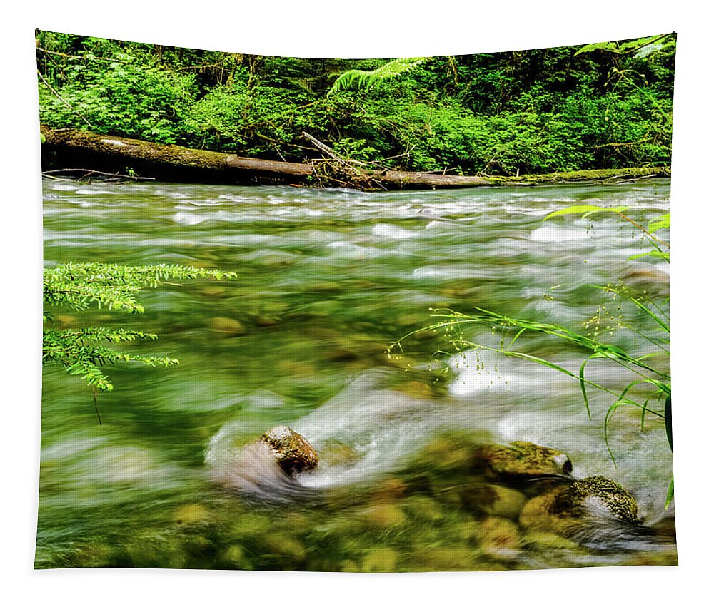 Water Tapestry featuring the photograph Simple Things by Tim Dussault