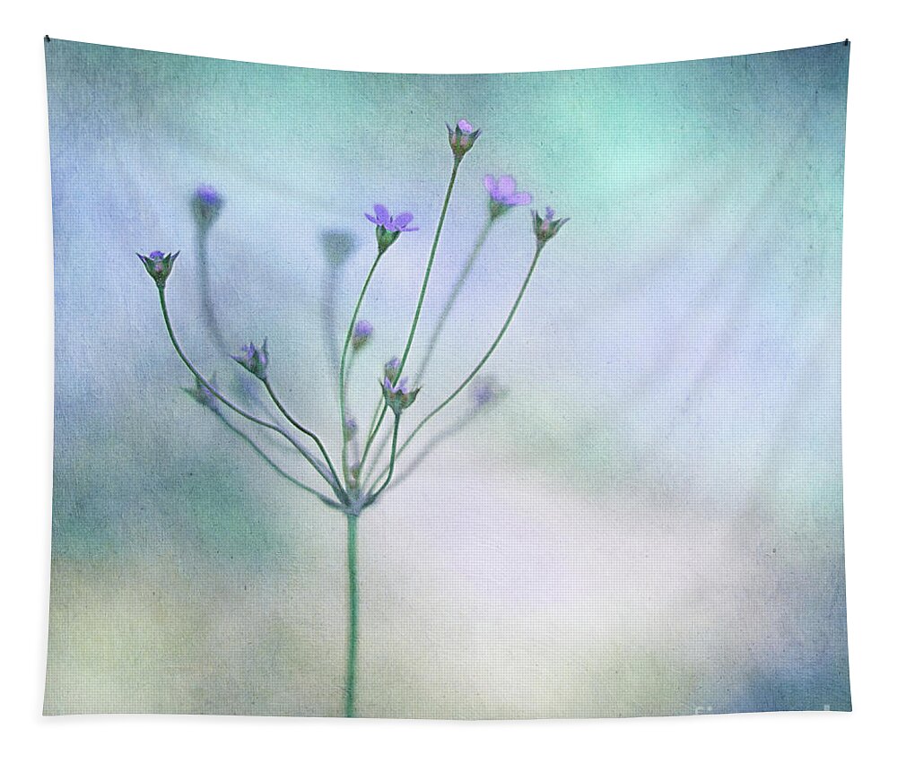 Blue Tapestry featuring the photograph Simply flowers by Priska Wettstein