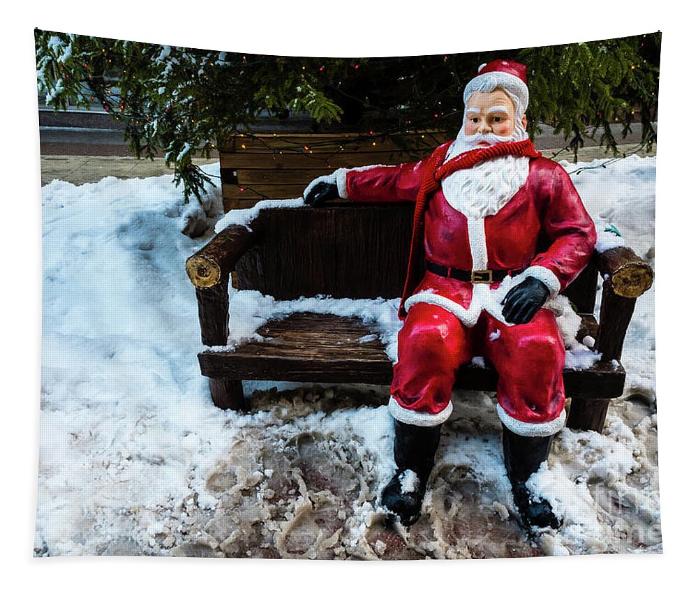 Sit With Santa Tapestry featuring the photograph Sit With Santa by M G Whittingham