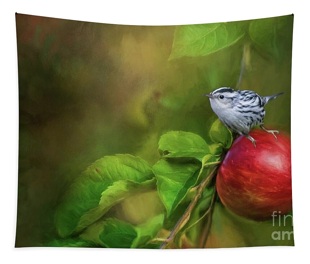 Black And White Warbler Tapestry featuring the photograph Sitting on an Apple by Eva Lechner