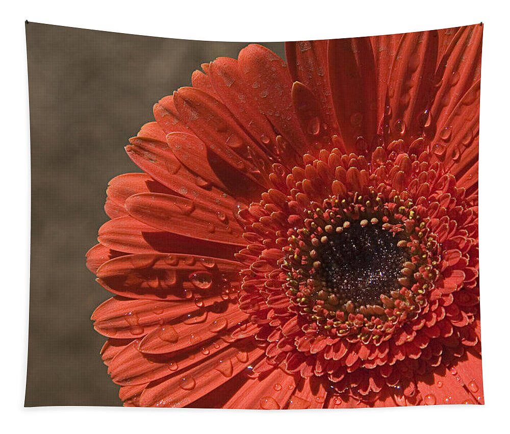 Heart Tapestry featuring the photograph SKC 5127 Heart of the Gerbera by Sunil Kapadia