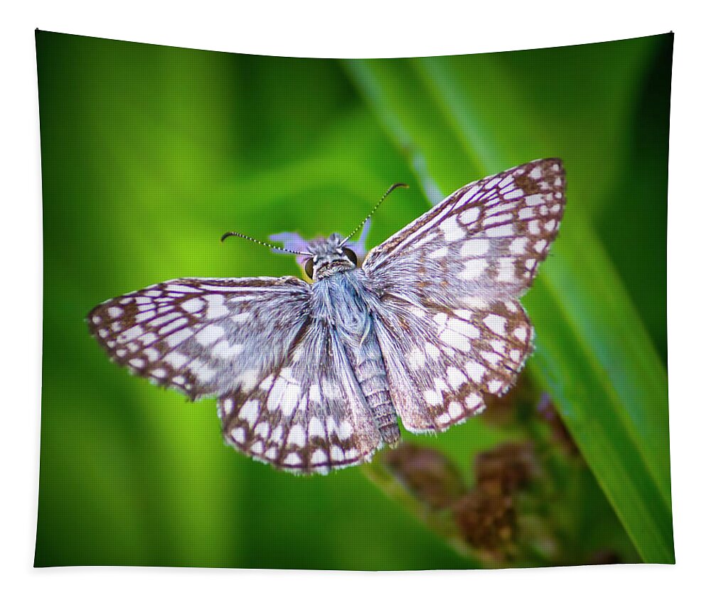 Butterfly Tapestry featuring the photograph Skipper Butterfly by Mark Andrew Thomas