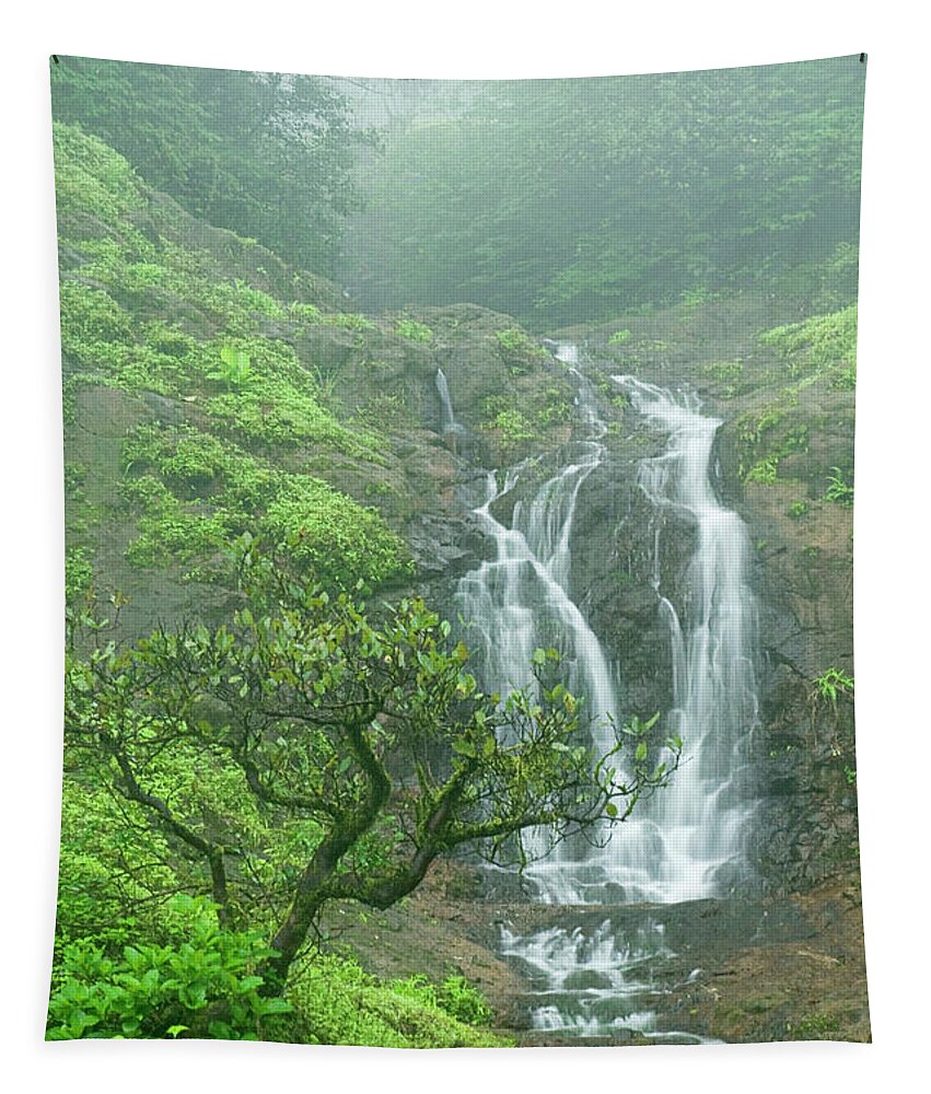 Admiration Tapestry featuring the photograph SKN 3758 Admiring Your Beauty by Sunil Kapadia