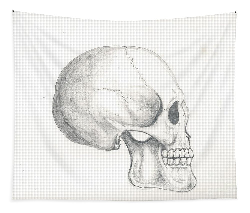Pencil Tapestry featuring the drawing Skull Study by Reed Novotny