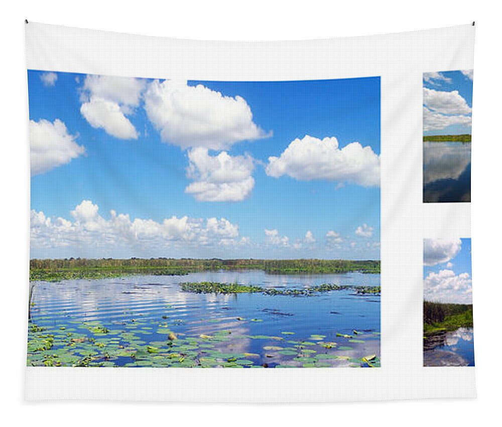 Art Tapestry featuring the photograph Skyscape Reflections Blue Cypress Marsh Collage 2 by Ricardos Creations