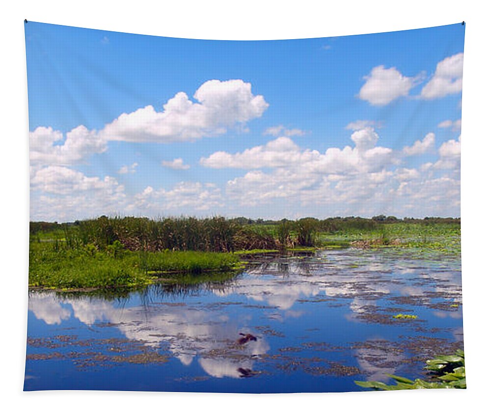 Marsh Tapestry featuring the photograph Skyscape Reflections Blue Cypress Marsh Conservation Area Florida C3 by Ricardos Creations