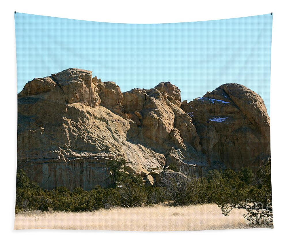 Southwest Landscape Tapestry featuring the photograph Sleeping elephant by Robert WK Clark