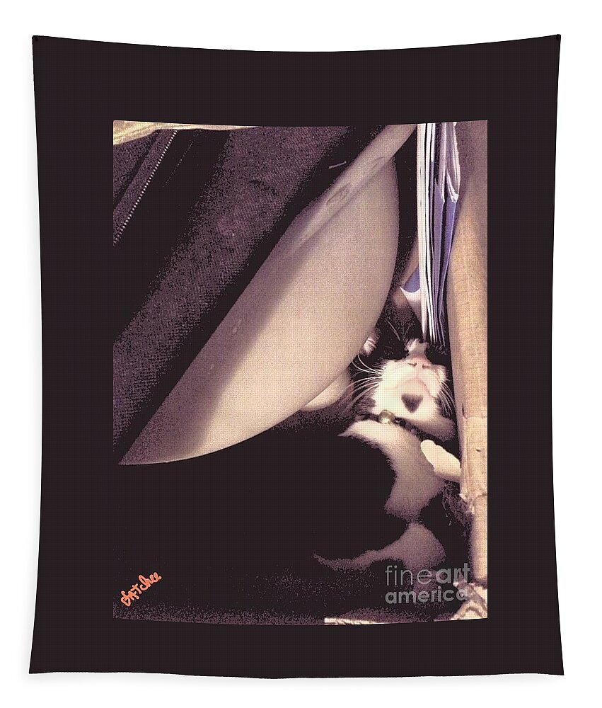 Cat Tapestry featuring the photograph Sleeping with Things #2 by Sukalya Chearanantana