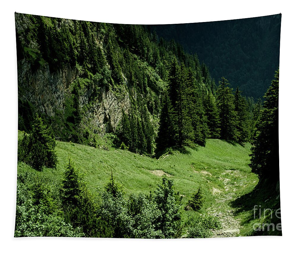 Michelle Meenawong Tapestry featuring the photograph Slope Downwards by Michelle Meenawong