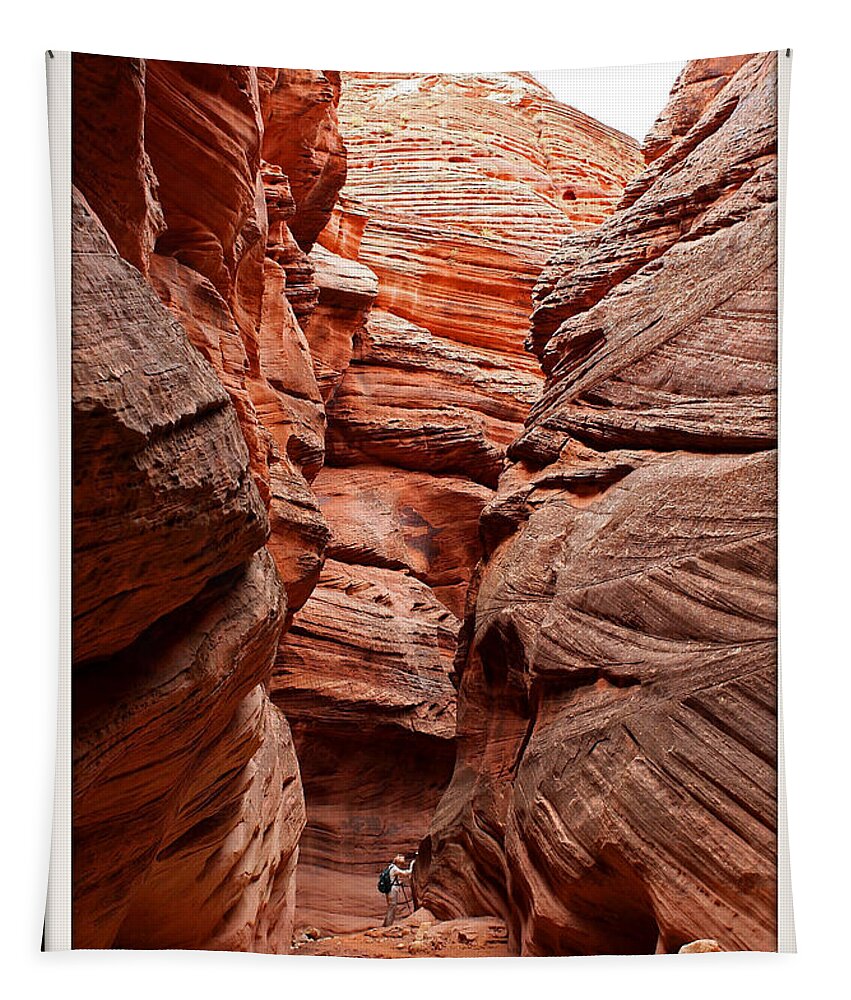 Slot Canyon Tapestry featuring the photograph Slot Canyons by Farol Tomson