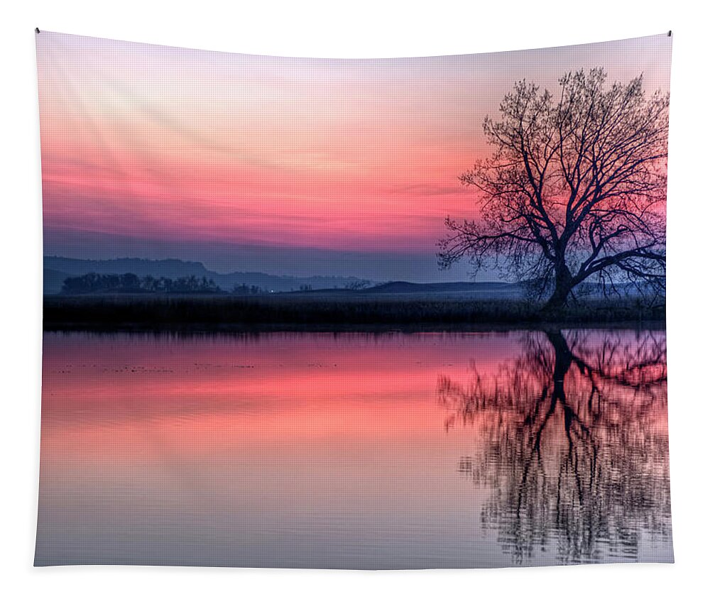 Pond Tapestry featuring the photograph Smoky Sunrise by Fiskr Larsen