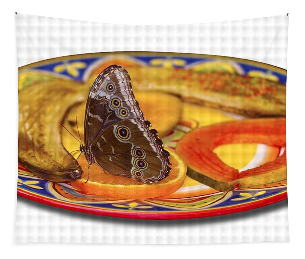 Butterfly Tapestry featuring the photograph Snacking Butterfly by Bob Slitzan