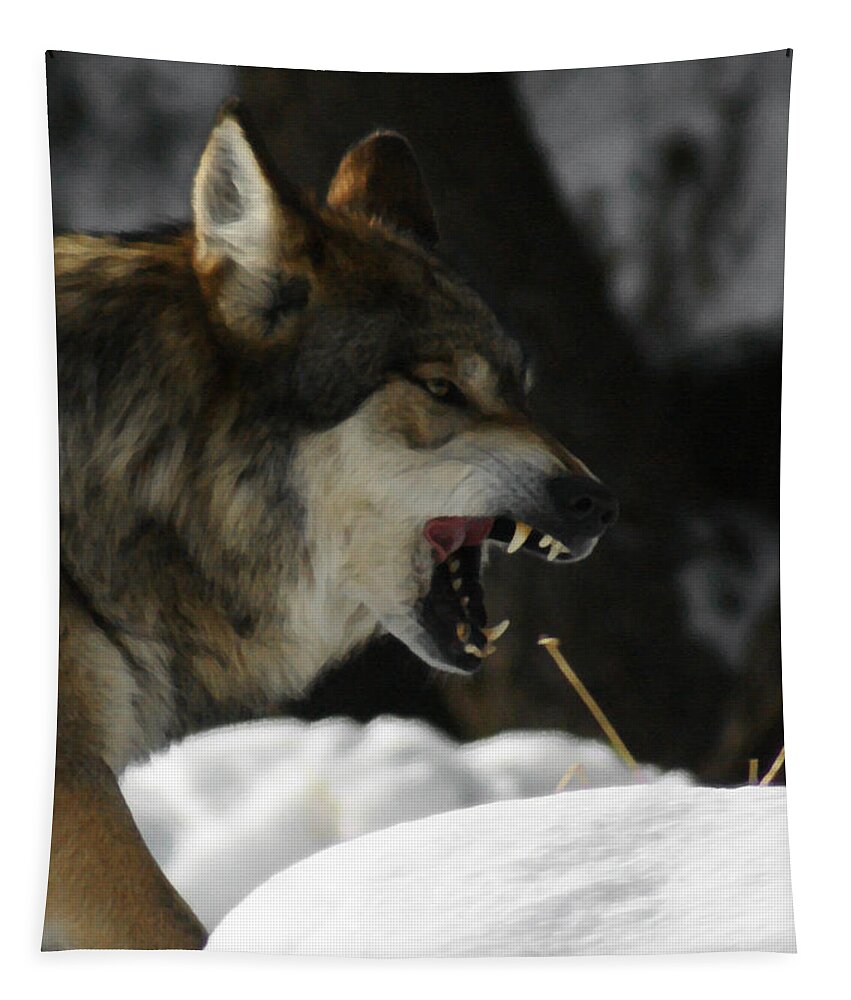 Wolf Tapestry featuring the photograph Snarling Wolf by Ernest Echols