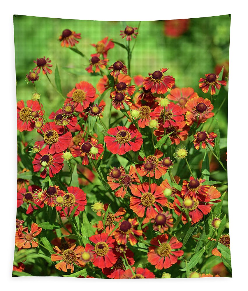 Sneezeweed Tapestry featuring the photograph Sneezeweed No. 4-1 by Sandy Taylor