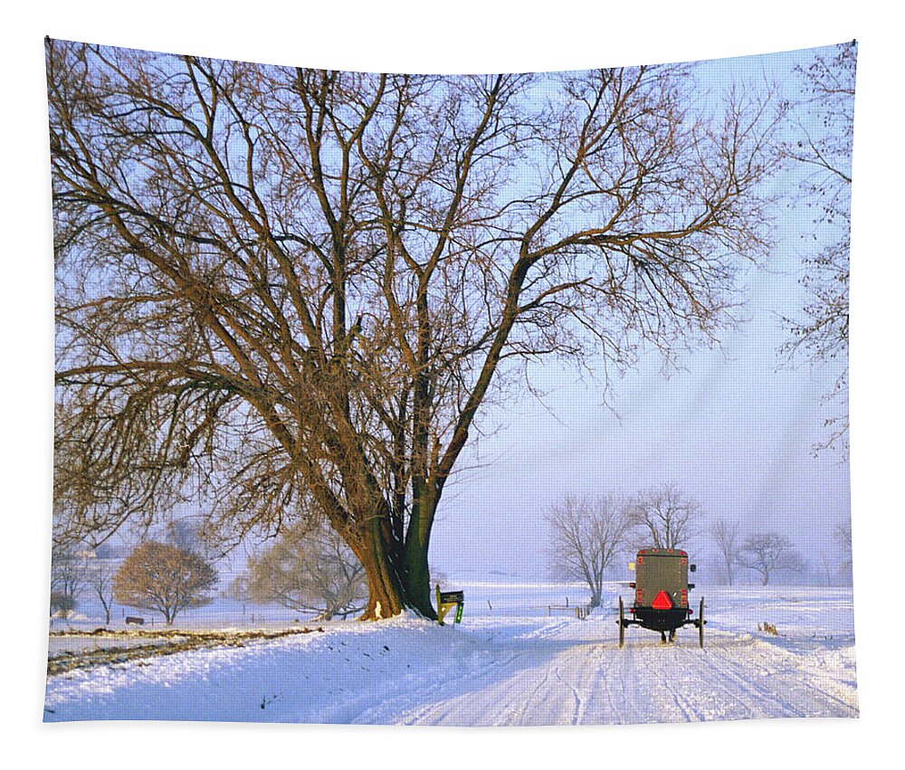Winter Tapestry featuring the photograph Snow Buggy by Craig Leaper