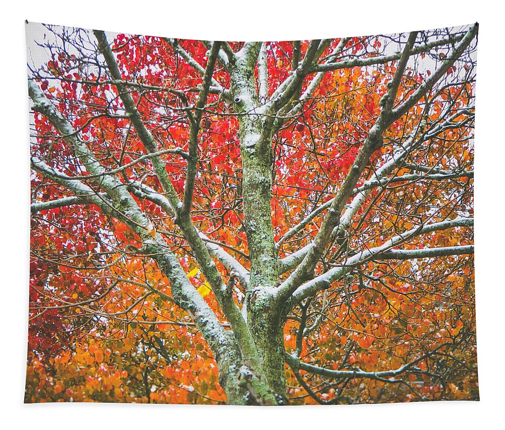 Winter Tapestry featuring the photograph Snow falls 2 by Andrea Anderegg