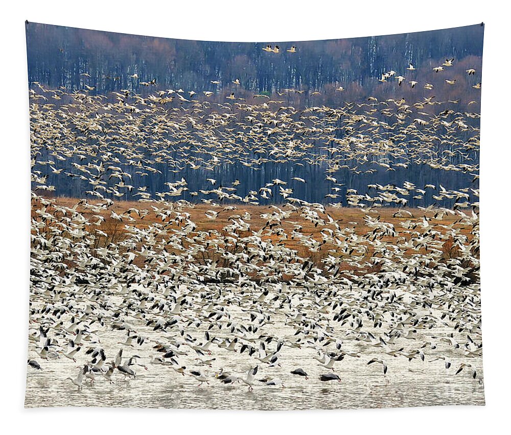 Snow Geese Tapestry featuring the photograph Snow Geese At Willow Point by Lois Bryan