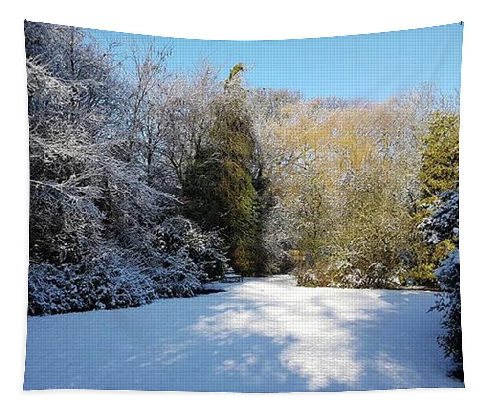 Snowscape Tapestry featuring the photograph Secret Snow Garden by Rowena Tutty