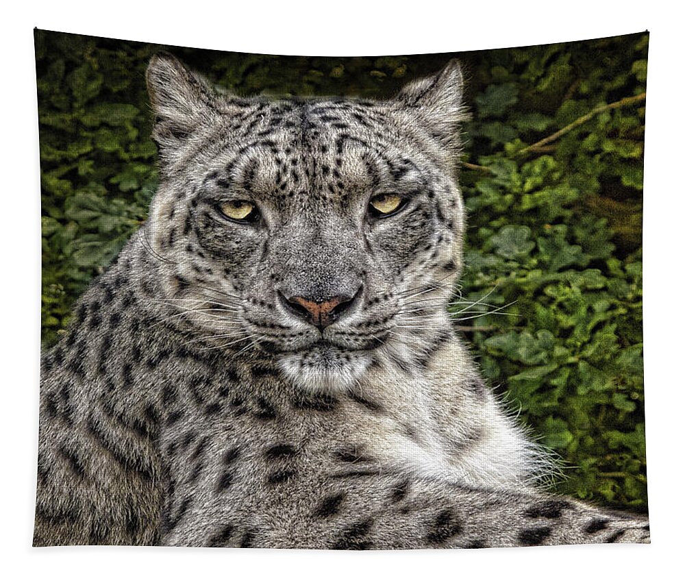 Snow Leopard Tapestry featuring the photograph Snow Leopard by Chris Lord