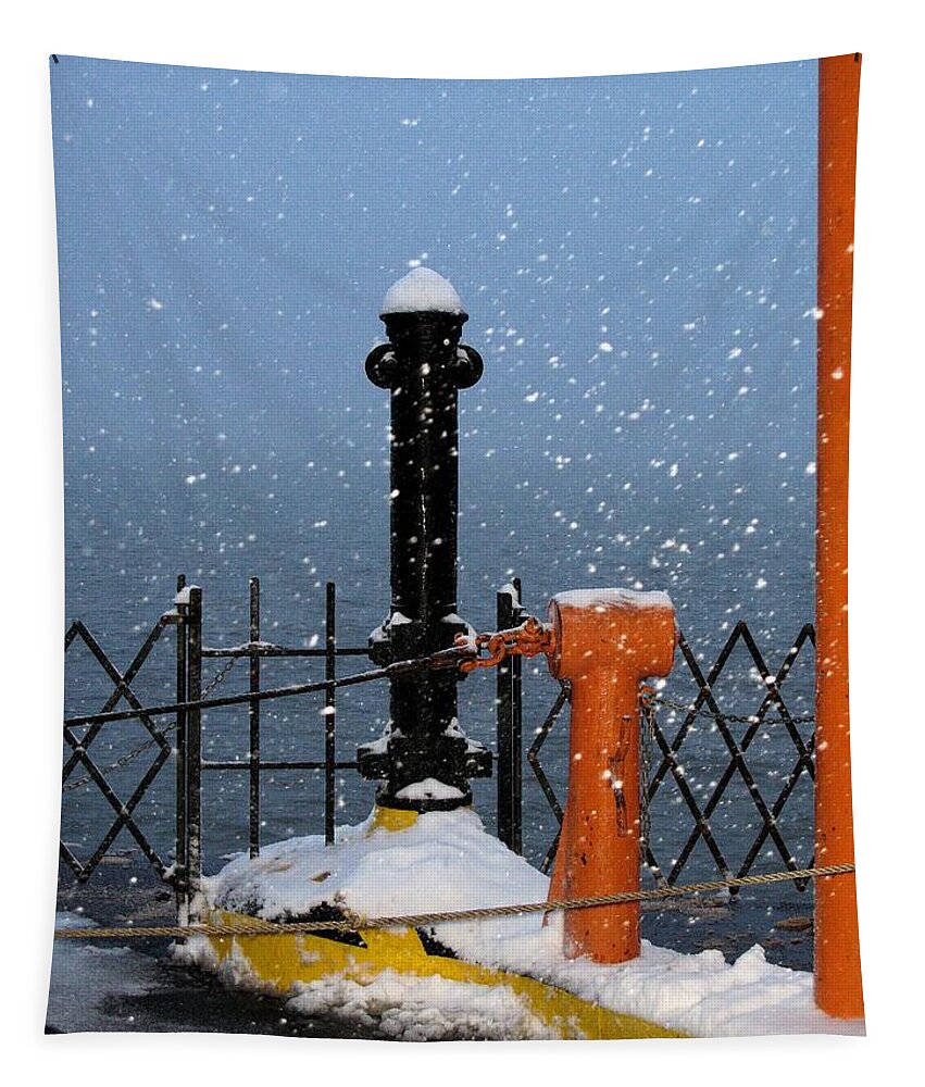 Snow Tapestry featuring the photograph Snow on Deck by Robert McCulloch