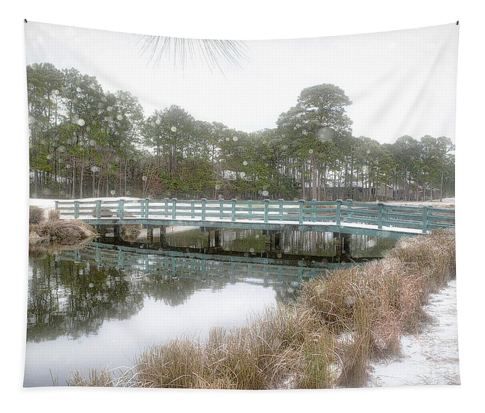 Scenic Tapestry featuring the photograph Snow Storm 1 by Kathy Baccari