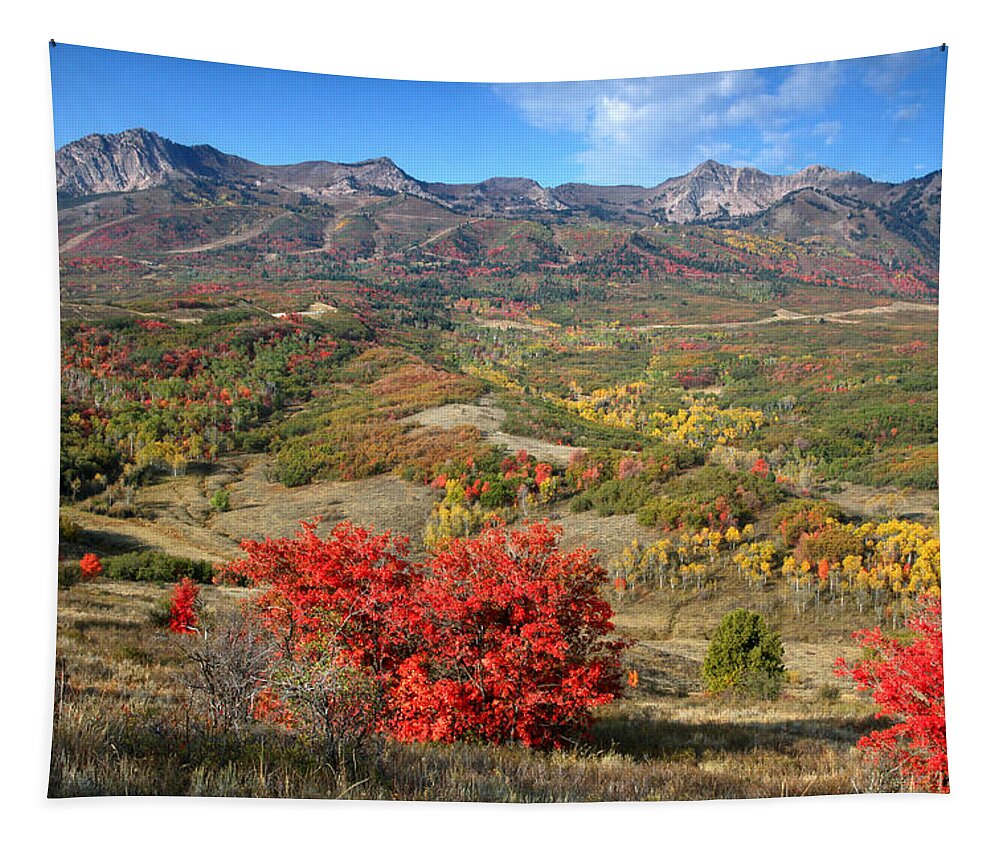 Snowbasin Tapestry featuring the photograph Snowbasin and Autumn Colors by Brett Pelletier