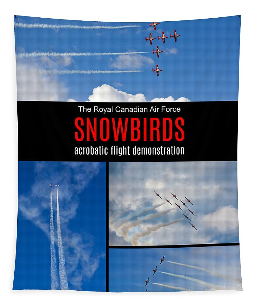 Snowbirds Tapestry featuring the photograph Snowbirds Collage 2 by Tatiana Travelways