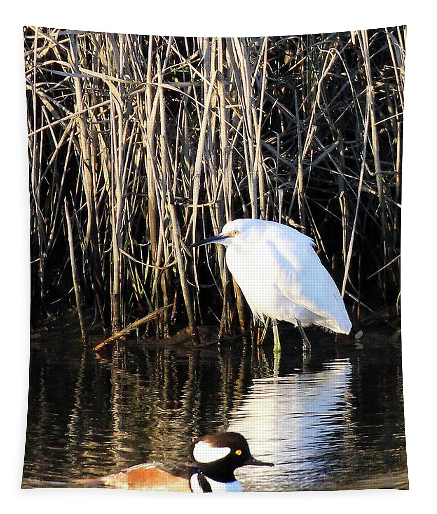 Snowy Egret And A Guy From The Hood Tapestry featuring the photograph Snowy Egret and a Guy from the Hood by Jennifer Robin