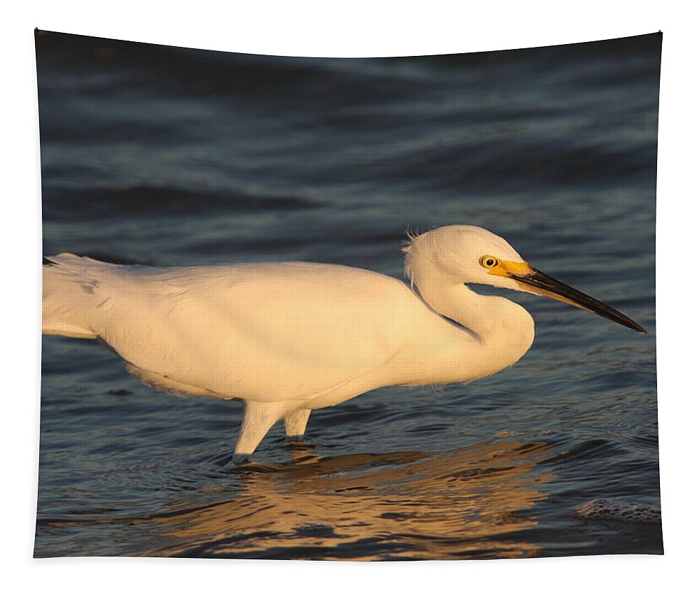 Egret Tapestry featuring the photograph Snowy Egret By Sunset by Christiane Schulze Art And Photography