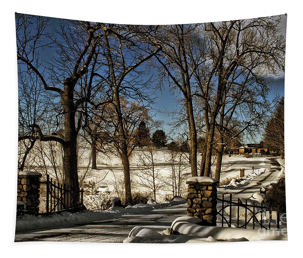 Snow Tapestry featuring the photograph Snowy Gates by Onedayoneimage Photography