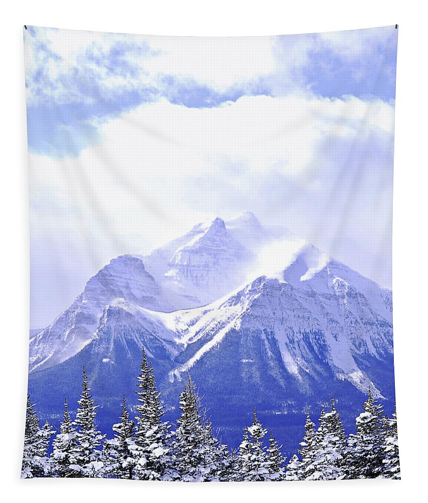 Mountain Tapestry featuring the photograph Snowy mountain by Elena Elisseeva