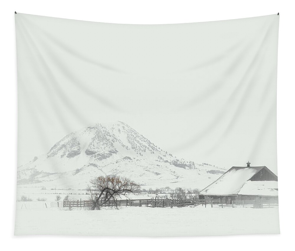 Snow Tapestry featuring the photograph Snowy Sunrise by Fiskr Larsen