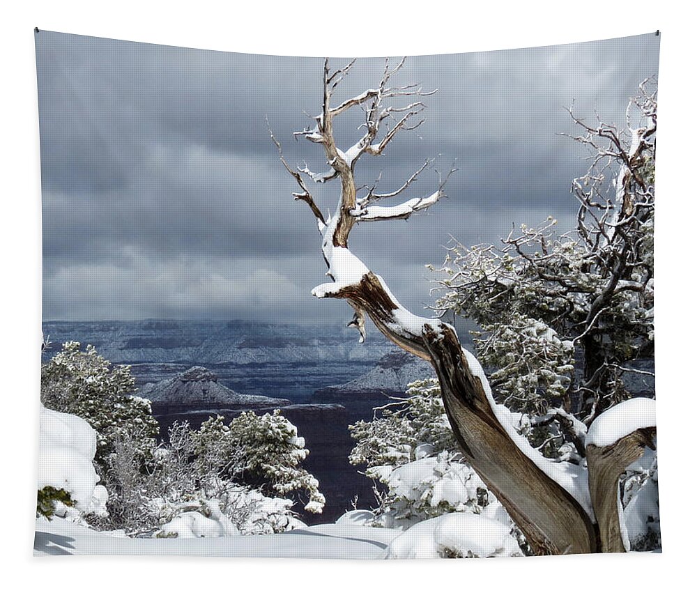Grand Canyon Tapestry featuring the photograph Snowy View by Laurel Powell