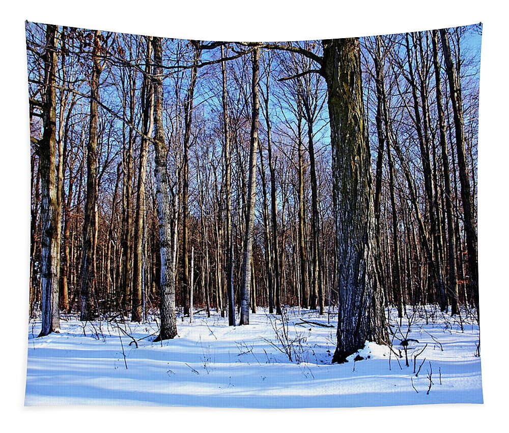 Forest Tapestry featuring the photograph Snowy Woods by Debbie Oppermann
