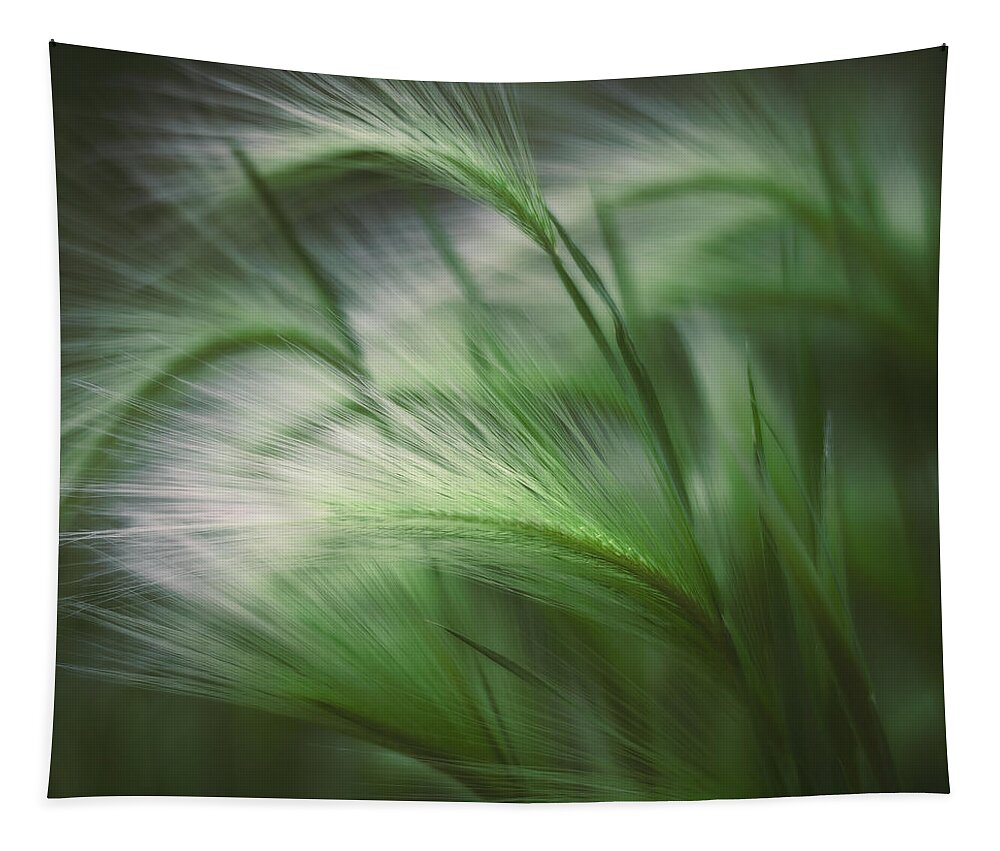 Grass Tapestry featuring the photograph Soft Grass by Scott Norris