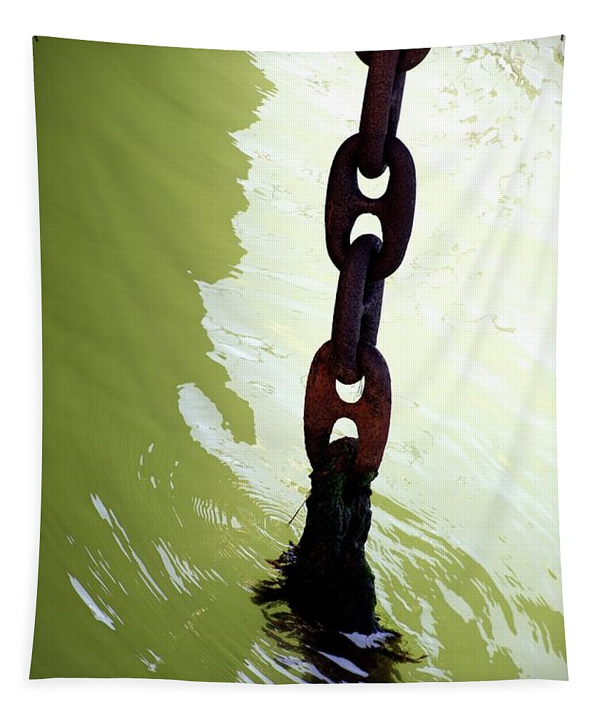 Newel Hunter Tapestry featuring the photograph Solid by Newel Hunter