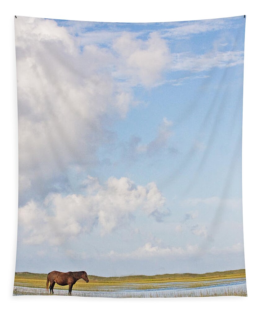 Wild Tapestry featuring the photograph Solitary Wild Horse by Bob Decker
